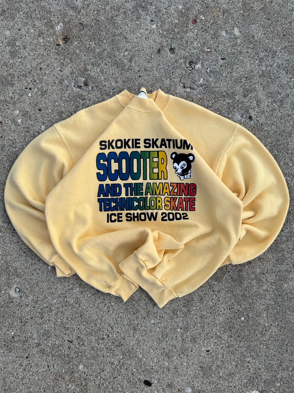 Vintage Skating Crewneck Sweater Y2K